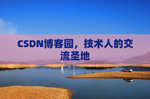 CSDN博客园，技术人的交流圣地